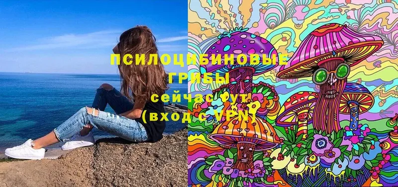 Галлюциногенные грибы Magic Shrooms  Апатиты 